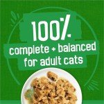 Indoor Cat Food Variety Pack - 24 Cans