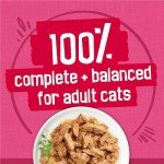 Friskies Wet Cat Food Variety Pack - 40 Cans