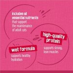 Friskies Wet Cat Food Variety Pack - 40 Cans