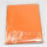 Mylar Thermal Shelter Tent for 2 People