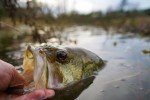 Portable Survival Fishing Kit for Camping Adventures