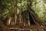 USB Survival & Preparedness Guide Library