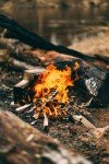 USB Survival & Preparedness Guide Library