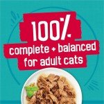 Wet Cat Food Variety Pack - Tasty Treasures 24 Cans