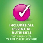 Variety Pack Cat Food Pate - Salmon & Turkey