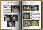 Lost SuperFoods: 126+ Tips for Emergency Stockpile