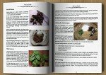 Lost SuperFoods: 126+ Tips for Emergency Stockpile