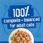 Cat Food Variety Pack – 40 Cans Ocean Flavors
