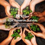 Heirloom Seed Vault: 144 Non-GMO Survival Seeds