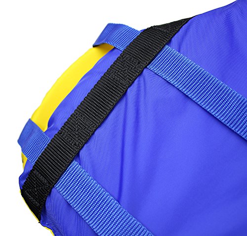 Universal Fit Kayak/Canoe Paddle, Black/Blue