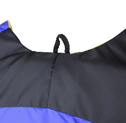 Universal Fit Kayak/Canoe Paddle, Black/Blue