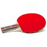 Kayak Performance Paddle for Exciting Adventures