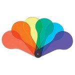 Colorful Paddles Set for Kids' Science Fun