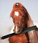 Ueemph 14" Faux Leather Paddle - Stainless Steel Handle