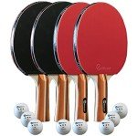 Kayak Paddle Set - 4 Paddles, 8 Balls, Case