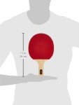 Kayak Paddle Set with Balls & Carrying Case