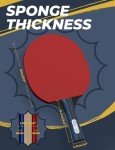 Glymnis Ping Pong Paddle Set with 8 Balls