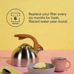 Whirlpool Everydrop Ice and Water Filter 4