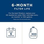 GE RPWFE Water Filter - Reduces Lead & Impurities