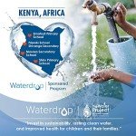 Waterdrop WD-F13 Water Filter Replacement, 3 Pack