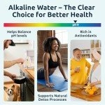 Alkaline Water Filter Replacement – 3-Pack, BPA-Free