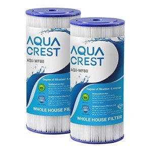 Whole House Water Filter Replacement Pack of 2