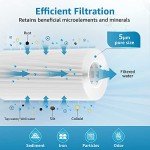 Whole House Water Filter Replacement Pack of 2