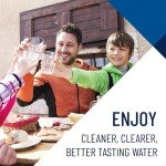 Pentair Big Blue 20" Whole House Water Filter