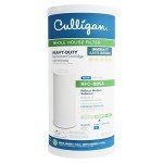 25 Micron Whole House Water Filter Replacement