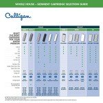 Culligan Whole House Water Filter Cartridges, 2-Pack