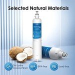 Waterdrop GE® RPWFE® Replacement Water Filters - 2 Pack
