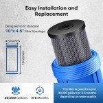 Coconut Shell Water Filter Cartridge - 3 Pack