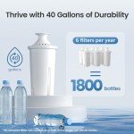 Aqua Crest Water Filter for Brita Pitchers (6 Pack)