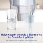 Brita Plus BPA-Free Replacement Water Filters, 6-Pack
