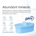 Waterdrop Replacement Alkaline Filters for Better Taste
