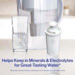 Brita Standard Water Filter for Pitchers - 2 Pack