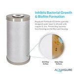 Triple Purpose Water Filter: Sediment, Carbon, Zinc