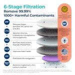 Bluevua 6-Stage Countertop UV Water Filter