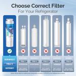ICEPURE UKF8001 Replacement Refrigerator Water Filters, 2-Pack