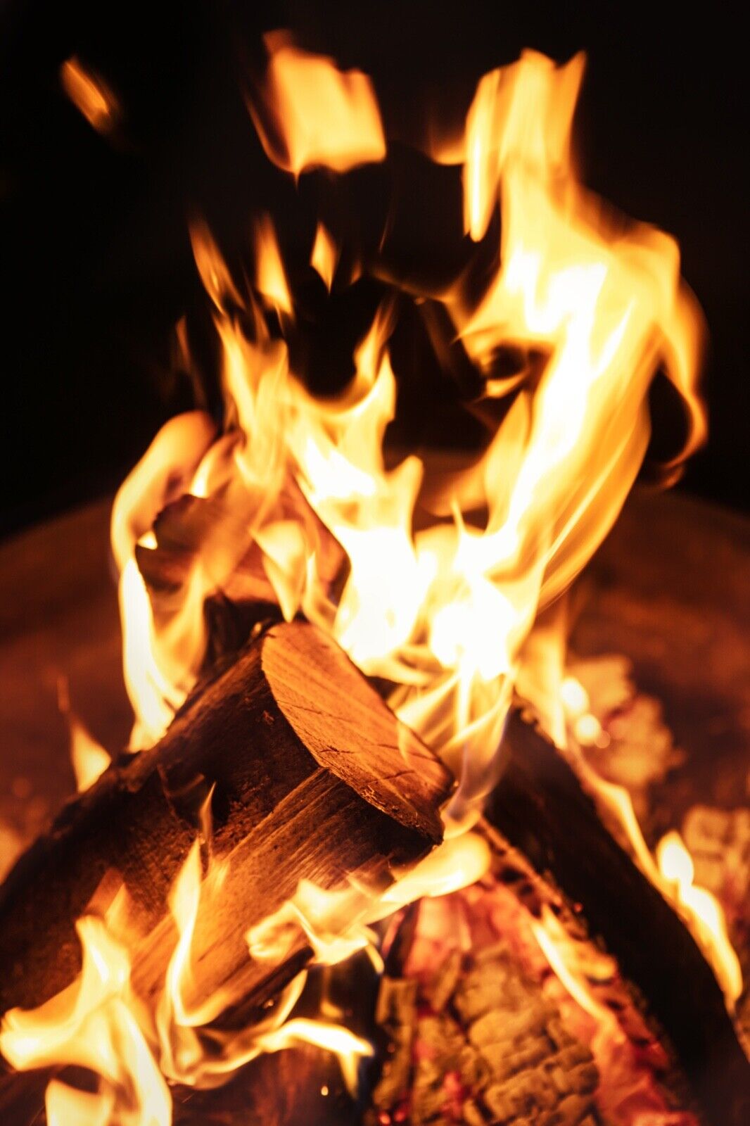 Double Tree Fatwood Premium Fire Starter Sticks 10 LBS