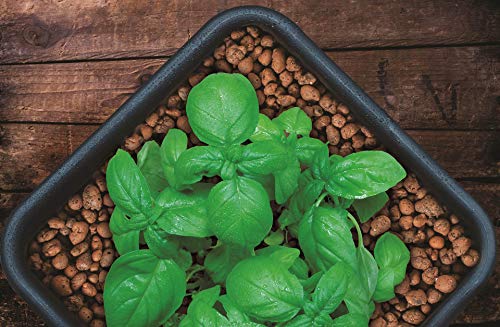 100% Natural Clay Pebbles for Hydroponics & Gardening