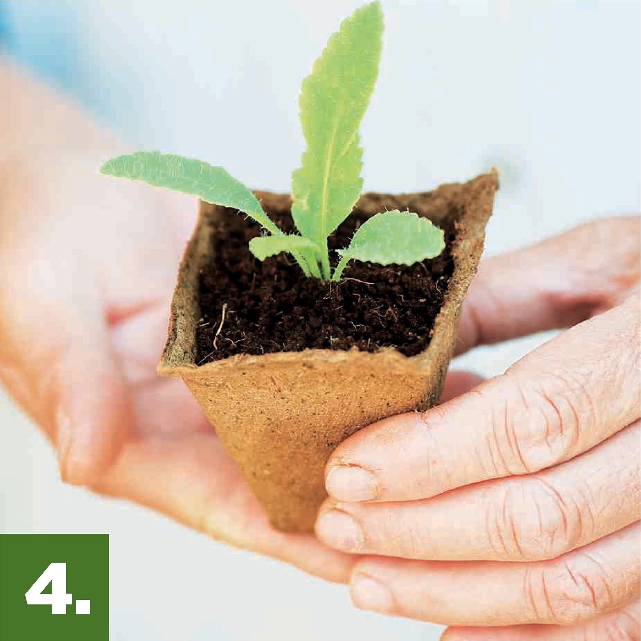 Organic seed starting mix, 16 quart