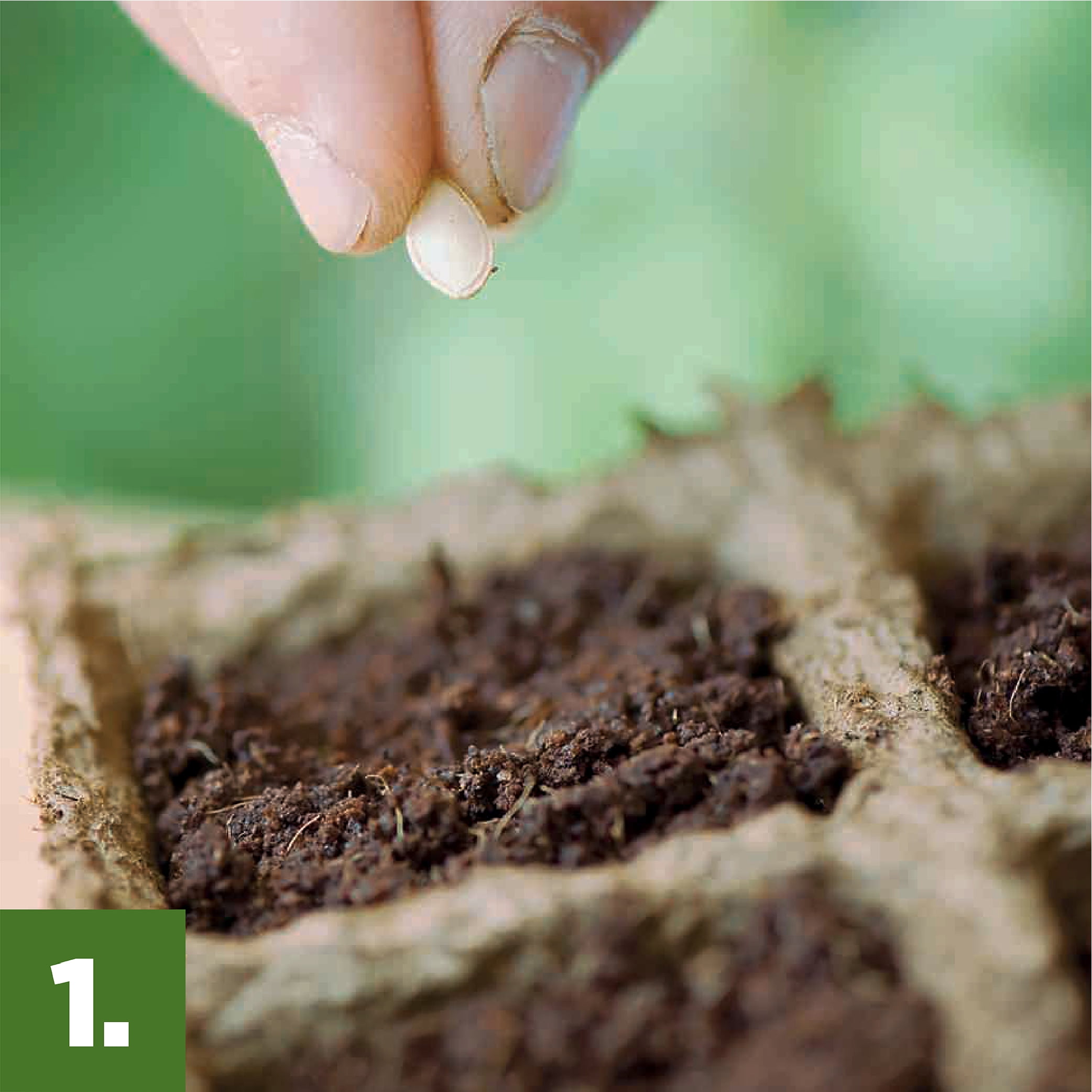 Organic seed starting mix, 16 quart