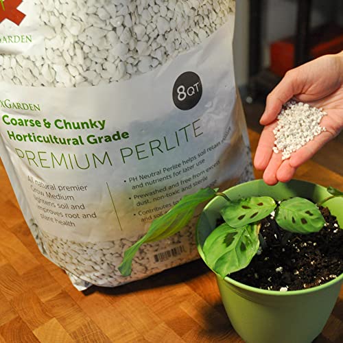 Premium Coarse Perlite for Hydroponics - 8 Quarts