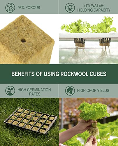 1" Rockwool Cubes for Hydroponics - 800 cubes