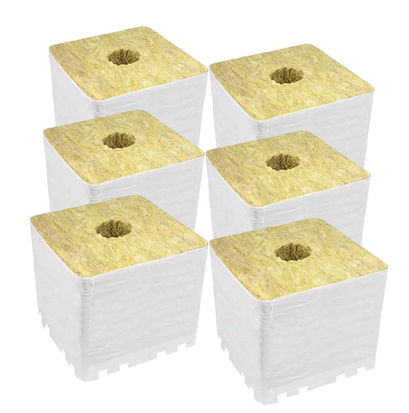 6 Pack PRO 4" Rockwool Cubes with Holes