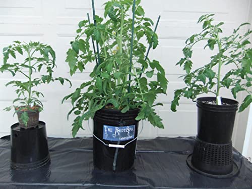 5 Gal Hydroponic Bucket Grow Kit with Air Pump