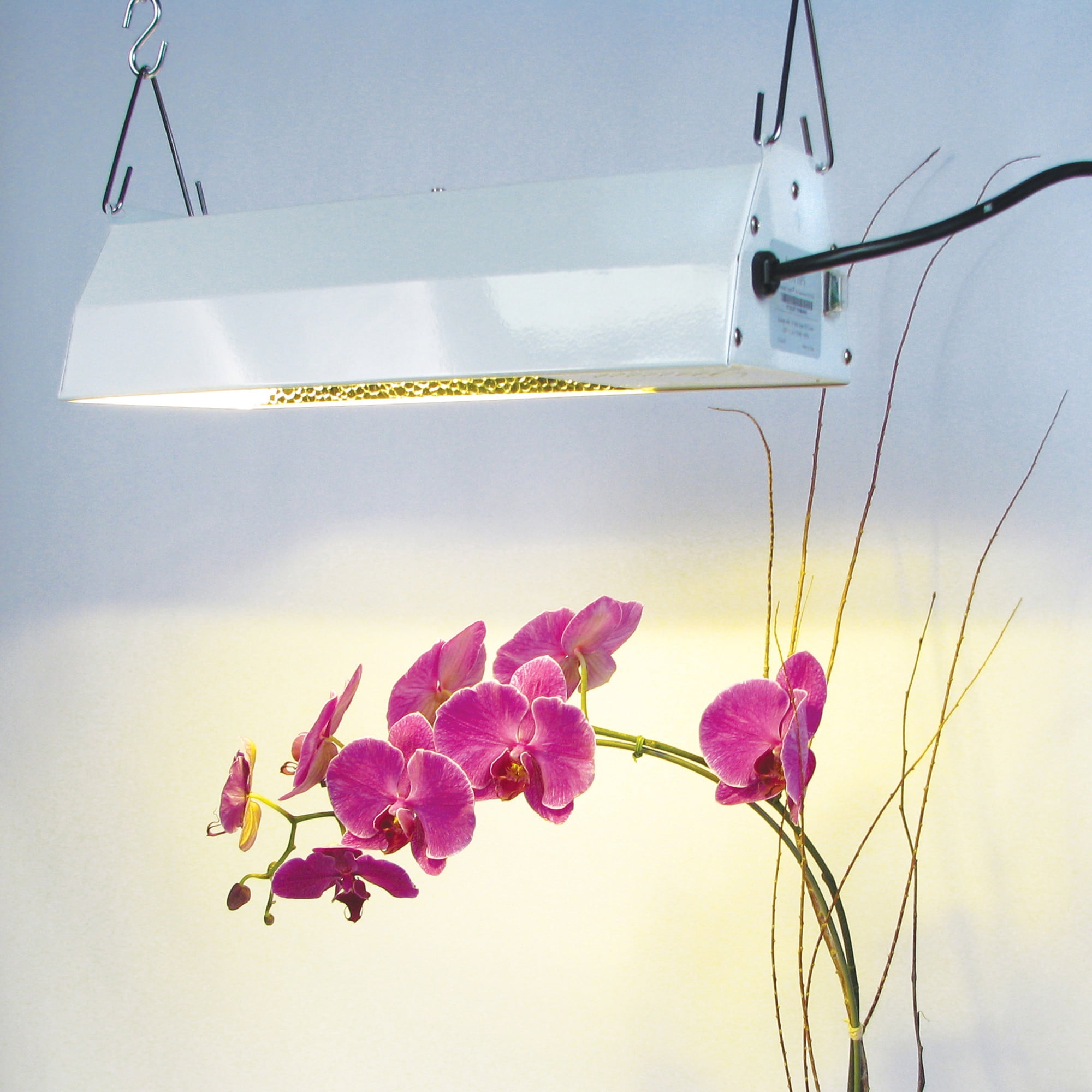 Indoor Hydroponic Grow Light with 16k Lumens