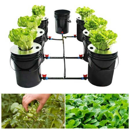7-Pot 20L Hydroponic DWC System