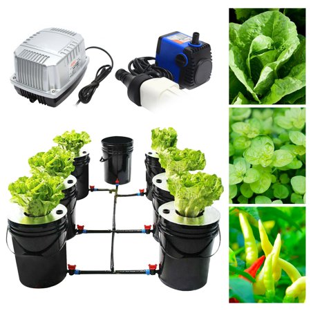 7-Pot 20L Hydroponic DWC System